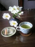 マツタケ饅頭.jpg