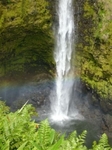 akakaho-ruzu.jpg